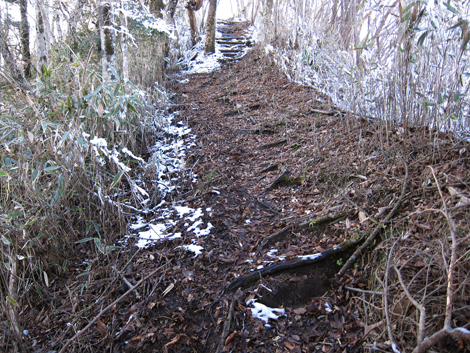 20191129hike (507)